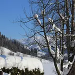 Apartment In Flachau Near Ski Lift Apartment Flachau