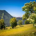 Apartment In Flachau Near Ski Lift * Flachau