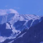 Apartment In Flachau Near Ski Lift *