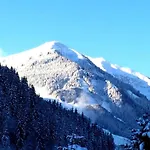 Apartment In Flachau Near Ski Lift * Flachau