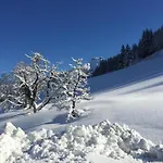 Apartment In Flachau Near Ski Lift Apartment *