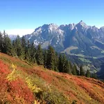 Apartment In Flachau Near Ski Lift * Flachau