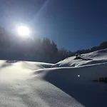 Apartment In Flachau Near Ski Lift *
