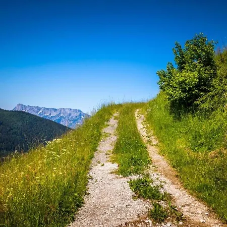 Apartment In Flachau Near Ski Lift Apartment Flachau