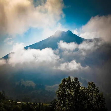 Apartment In Flachau Near Ski Lift * Flachau