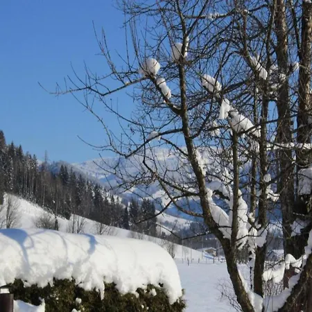 In Near Lift Apartament Flachau