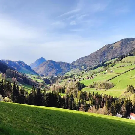 In Near Lift Appartement Flachau