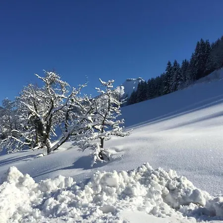 In Near Lift Appartement *