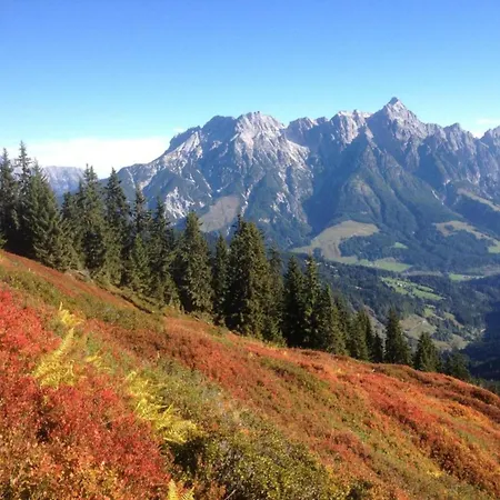 In Near Lift * Flachau