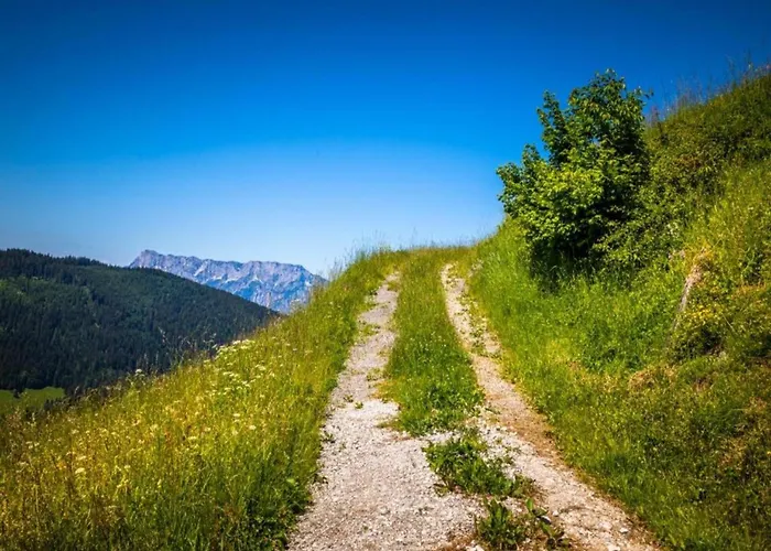 In Near Lift Apartament Flachau