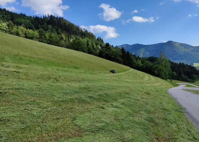 Apartment In Flachau Near Ski Lift Apartment Flachau