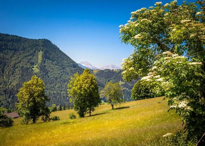 In Near Lift * Flachau