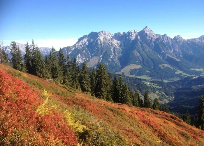 Apartment In Flachau Near Ski Lift * Flachau